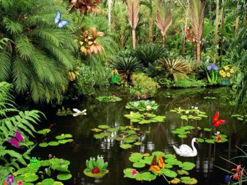 Butterflies Ponds Screensaver 2.0 (Freeware 7.48Mb)