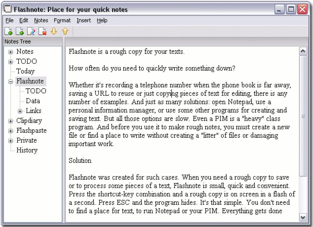 Flashnote 4.7 (Freeware 2.70Mb)