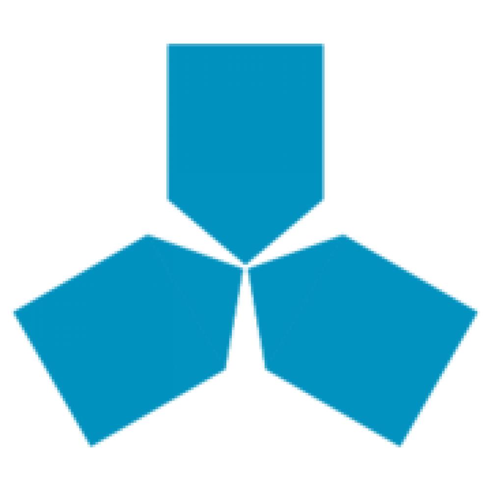 .Net Runtime Library for Delphi 6.0.6.0 (Shareware 38.89Mb)